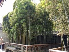 -天一阁博物院