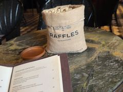 -Long Bar(莱佛士酒店)