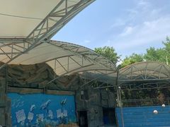 -合肥野生动物园