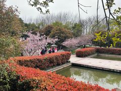 -南京市江宁方山