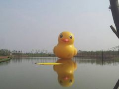 -杭州湾海上花田景区