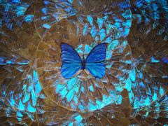 -上海昆虫博物馆