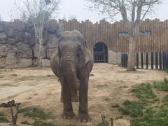 -济南野生动物世界