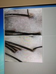 -可貌丽姿·增发养发