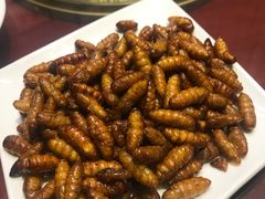 -赵家小馆(沈阳禹洲广场店)