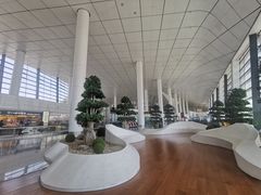 -郑州新郑国际机场