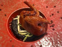 -南堂馆·新川菜(春熙路店)