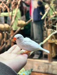 -Zoolung Zoolung动物主题公园(海信广场店)