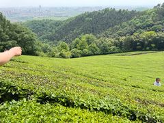 -敬亭山风景名胜区