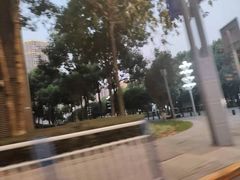 -重庆市江北嘴中央商务区中央公园