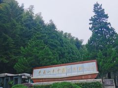 -井冈山革命烈士陵园