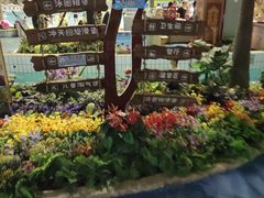 -天山海世界·米立方