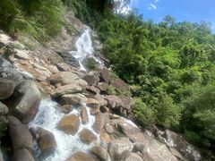 -海南热带雨林国家公园吊罗山景区