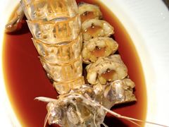 琥珀酒醉溏心富贵虾-新荣记(BFC外滩金融中心店)