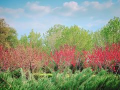 -永定河休闲森林公园