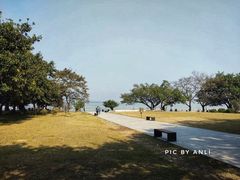 -南沙天后宫景区