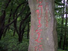 -庐山风景区花径公园