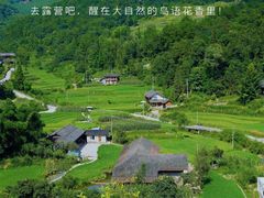 -梧桐山风景名胜区