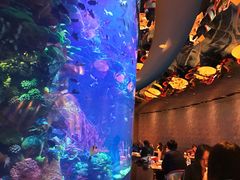 -迪拜帆船酒店海底餐厅