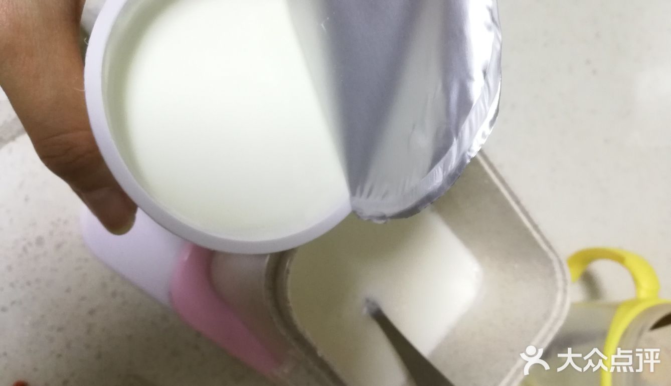 极懒版！不插电！自制无糖酸奶