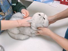 -康成宠物医院24H·CT·核磁共振