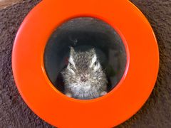 -苏州青少年科技馆