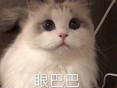 -GANSO元祖食品(吴家山店)