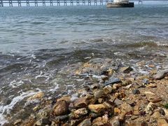 -星海湾跨海大桥