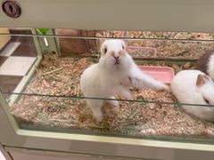 -龙猫仔乐园(惠福东路店)