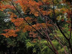 -郑州植物园