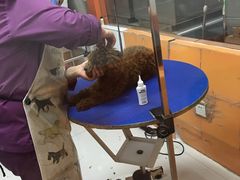 -惠康宠物医院(华能路店)