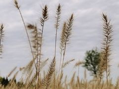 -汉长安城未央宫国家考古遗址公园