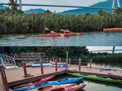 -芒洲湿地公园