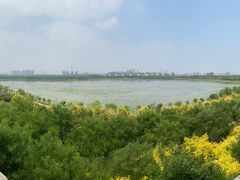 -天津东丽湖风景区