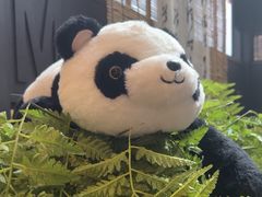 -了凡国风主题茶馆·咖啡(武侯祠锦里店)