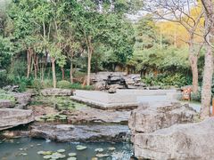 -红花湖景区