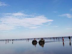 -碧海金沙