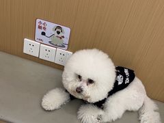 -瑞派康怡24h宠物医院·犬猫医疗中心·微创绝育(瑞景分院)