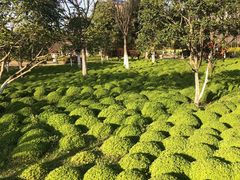 -杭州城北体育公园