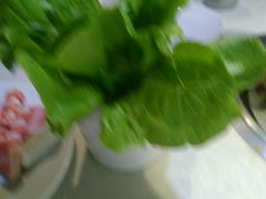 -哆来咪火锅烤肉自助(牌楼店)