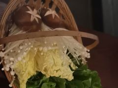 -同仁四季椰子鸡(宝安壹方城店)