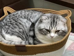 -瑞鹏宠物医院·骨科·猫科·内科(第一中心)