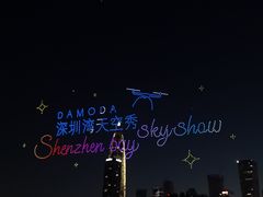 -深圳湾公园(南山区)