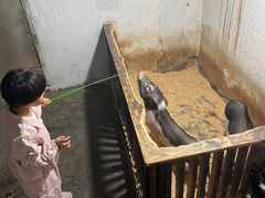 -嘉兴海底世界