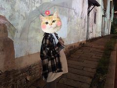 最近办灯光秀-黎里古镇