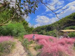 -宁波浙东大竹海景区