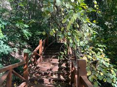 -大岭沟猕猴桃谷风景区