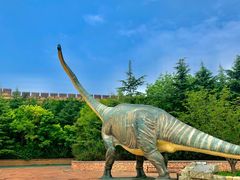 -青岛方特梦幻王国