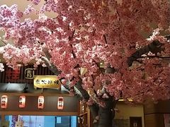 -大江户·温泉洗浴(浑南店)