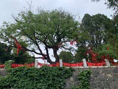 -烟台山景区